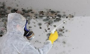 Service de décontamination et nettoyage de moisissure et vermiculite à Montréal, Laval, Rive-Sud et la Rive-Nord de Montréal / Décontamination Montréal